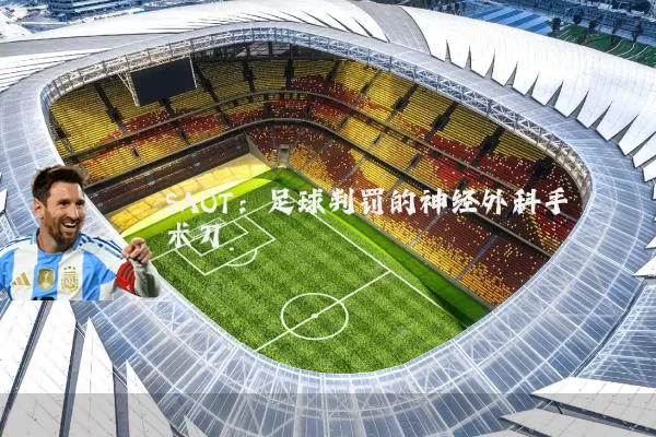 SAOT:足球判罚的神经外科手术刀